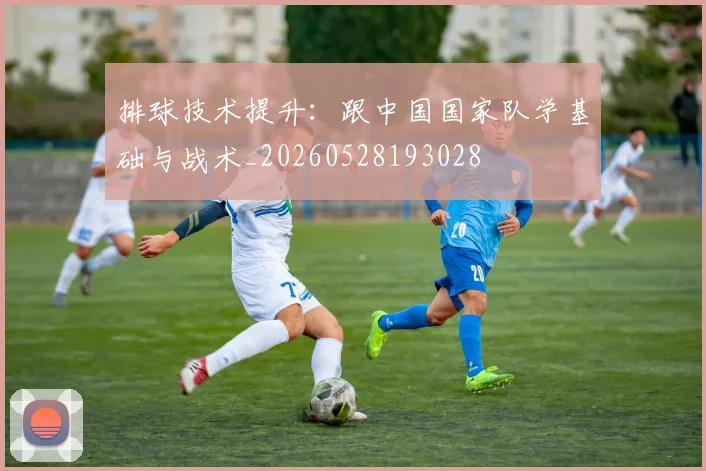 排球技术提升：跟中国国家队学基础与战术_20260528193028