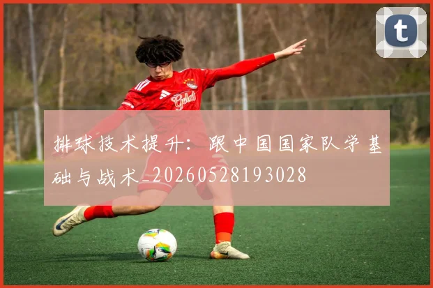 排球技术提升：跟中国国家队学基础与战术_20260528193028